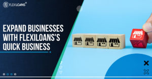 FlexiLoans Quick Business Loan for All Businesses