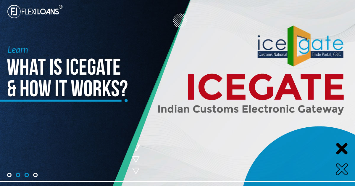 ICEGATE What is ICEGATE How Does it Works Bill of Entry