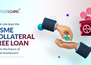 Role of MSME Collateral Free Loan